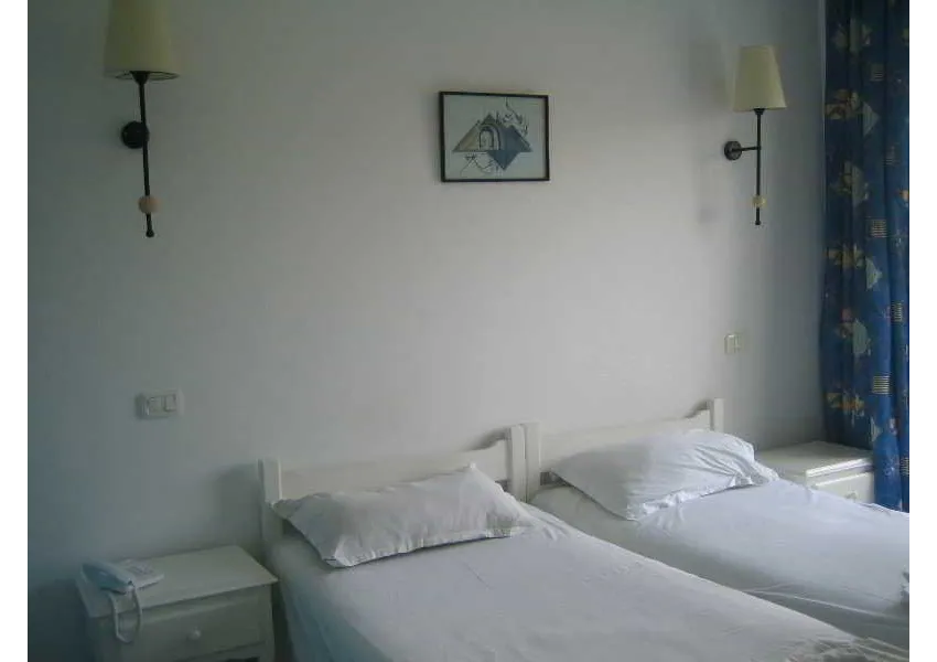 Hotel Les Citronniers 2*-21