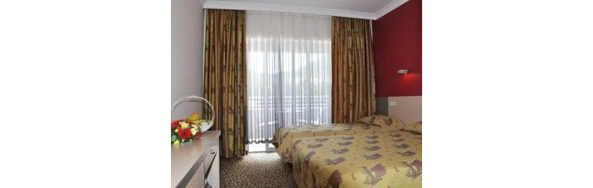 Grand Viking Hotel 4*-8