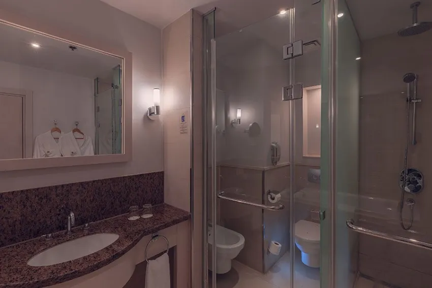 OLD PALACE SALH HASHEESH  5*-19