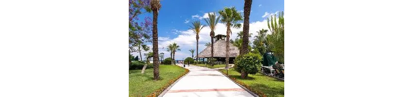 Gypsophila Club Marine 5*-1