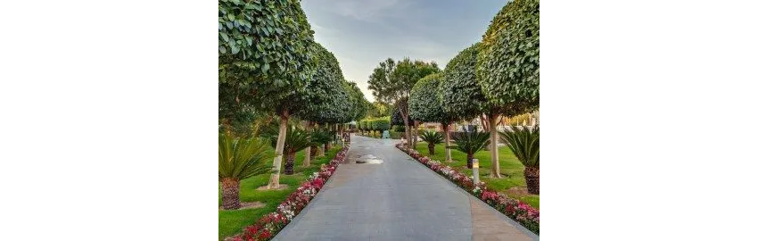 Calista Luxury Resort 5*-25