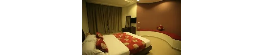 Hotel Les Palmiers 2*-25