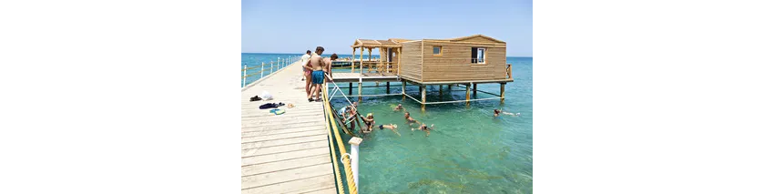 Sunny Beach Resort The Three Corners 4*-69