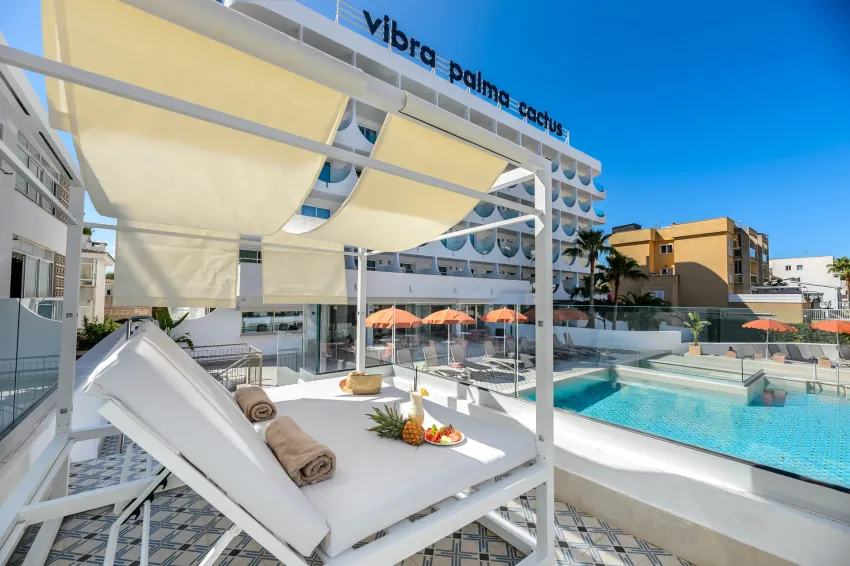 Vibra Palma Cactus 4*-27
