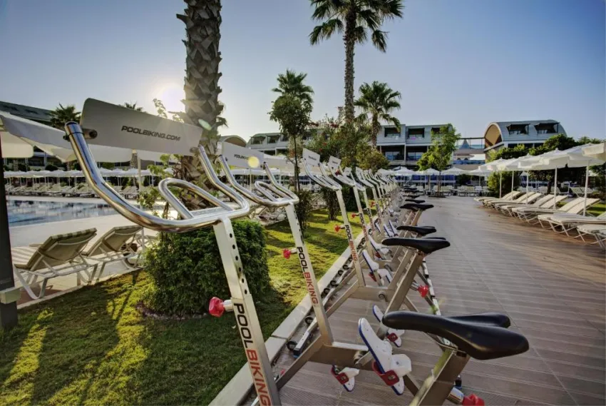 MAGIC LIFE JACARANDA  5*-8