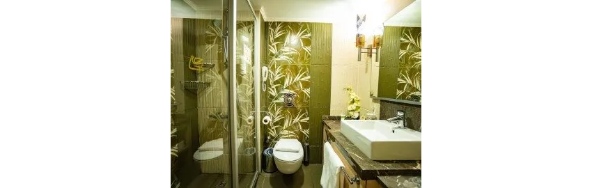 Ambassador Hotel 4*-23