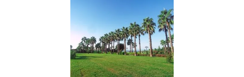 Royal Atlantis Beach Hotel 4*-28