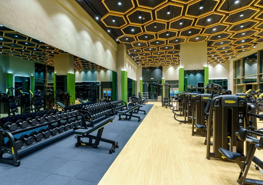 Regnum Carya Golf & Spa Resort 5*-45