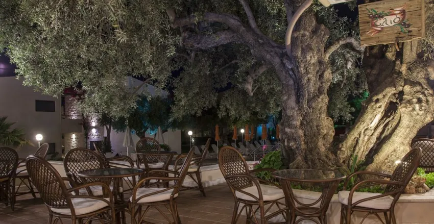 Althea Village 4*-17