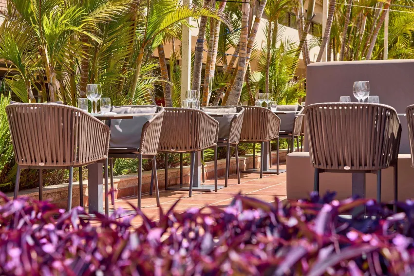 Zafiro Rey Don Jaime 4*-64