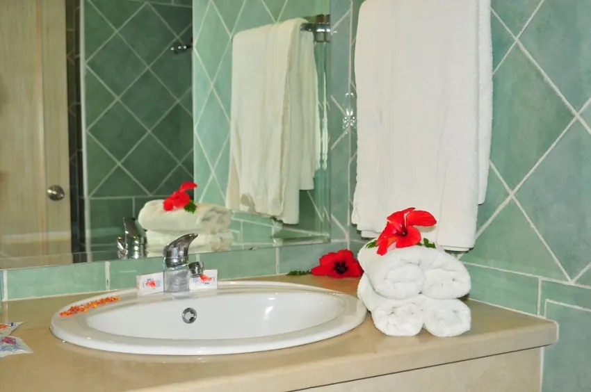Hotel Zodiac 4*-27