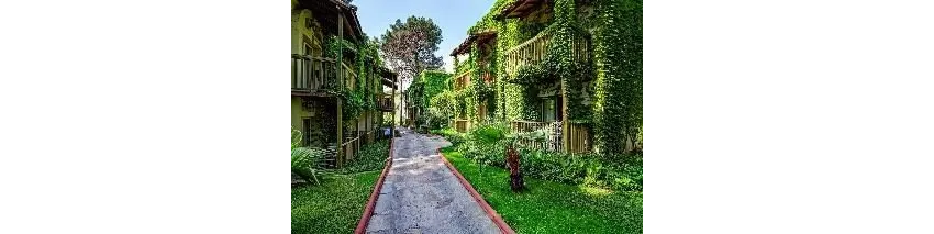 Gypsophila Club Marine 5*-4