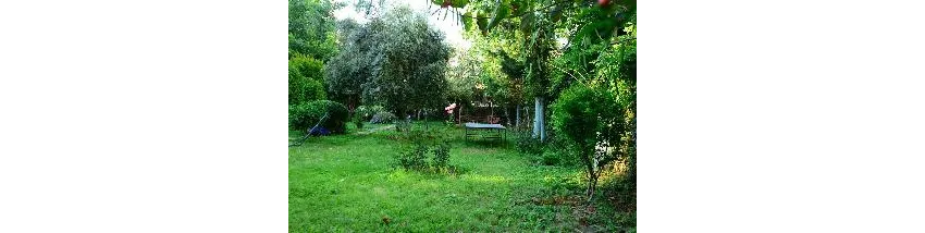 Hotel Sevkibey 3*-35