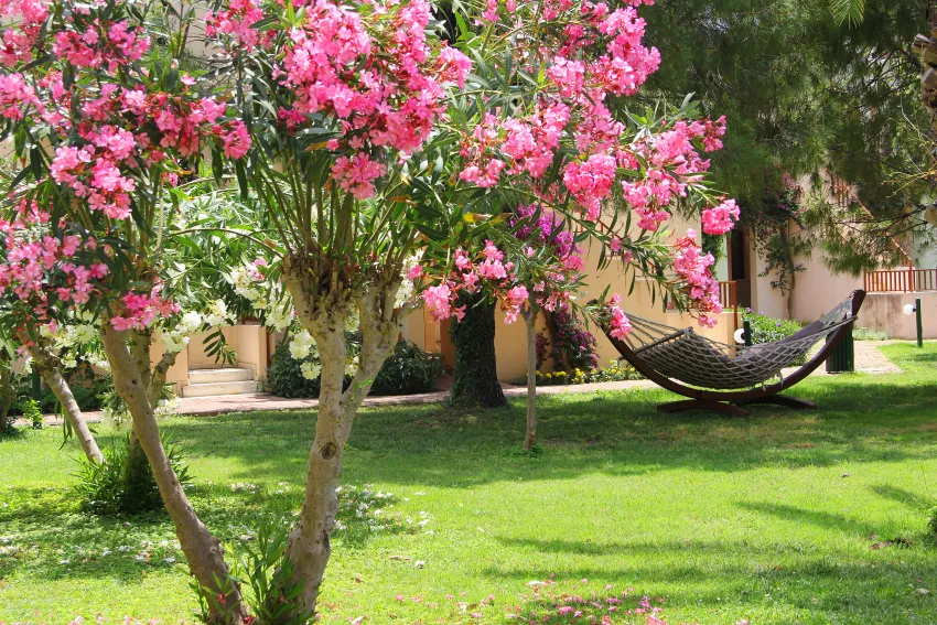 Vonresort Golden Beach 4*-14