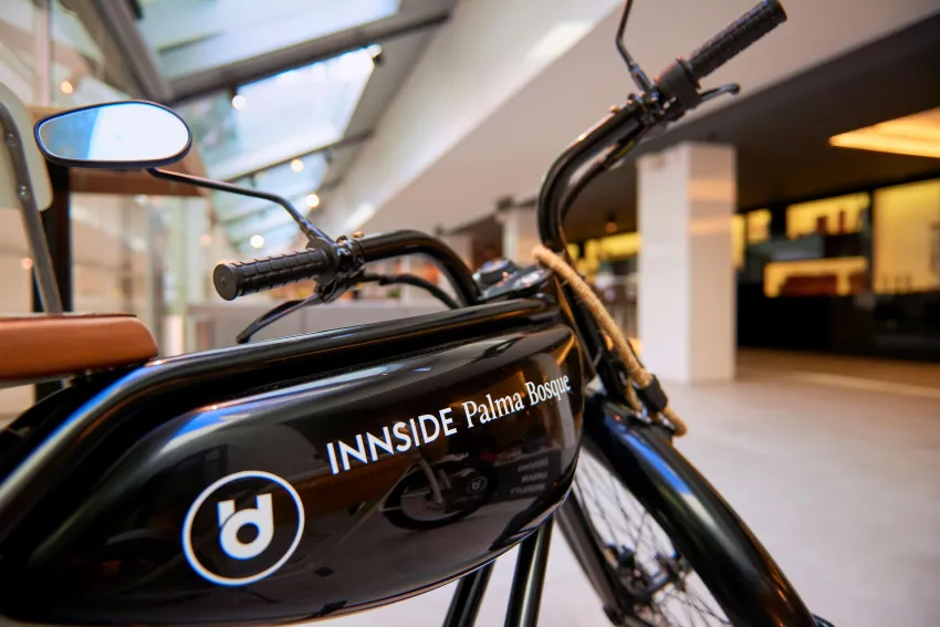 Innside Palma Bosque 4*-30