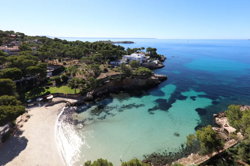 The Donna Portals 5*-81