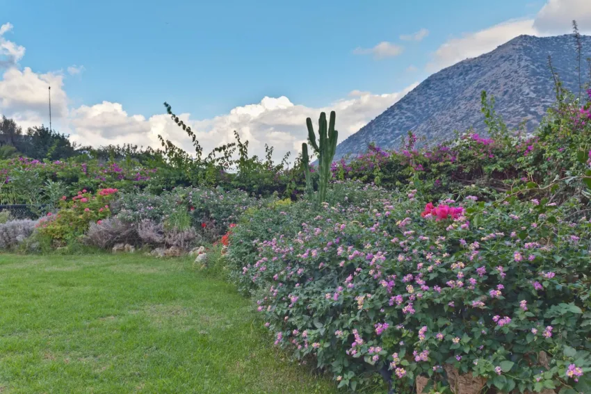 Mitsis Bali Paradise Hotel 4*-3