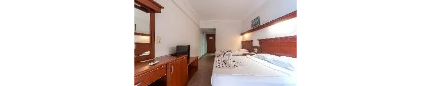 Wasa Hotel 3*-20