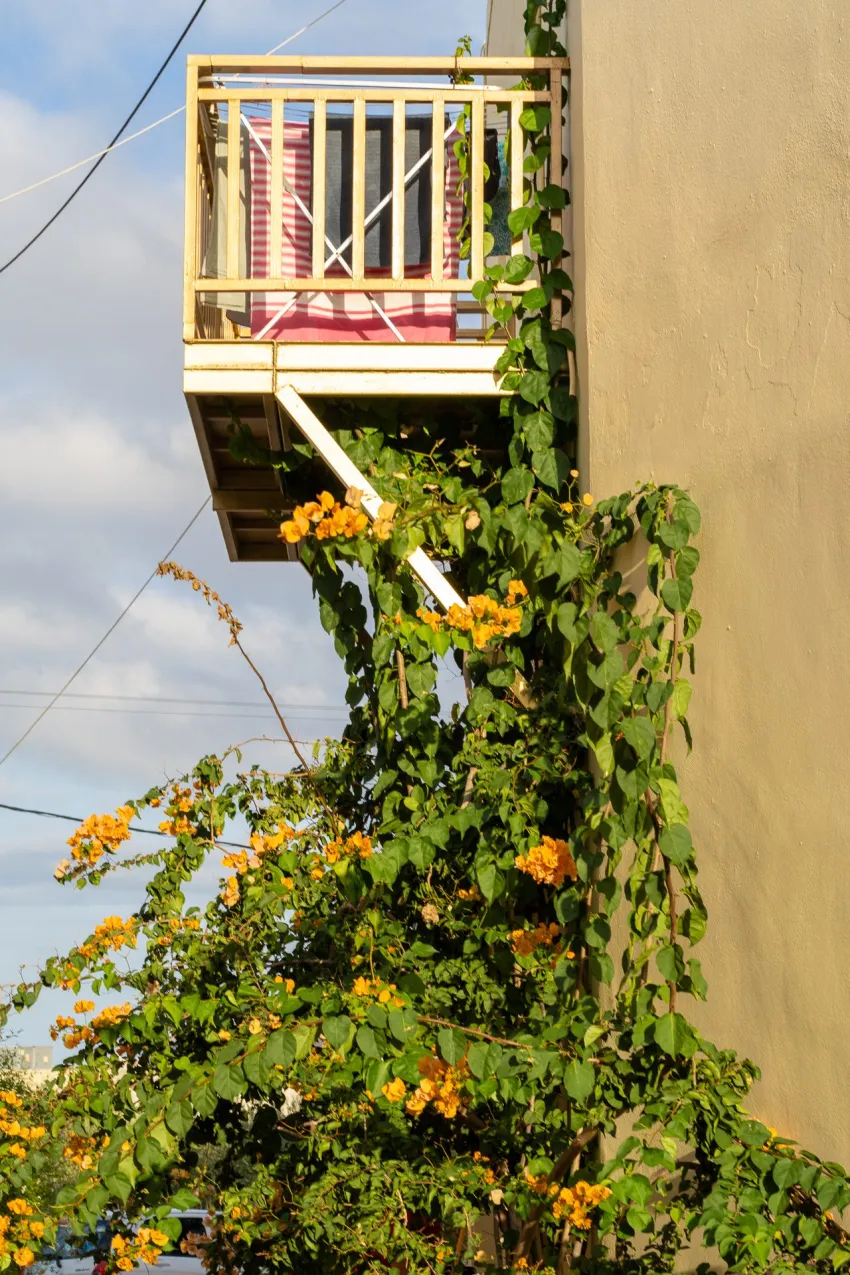 Elpis Studios and Apts 2*-13