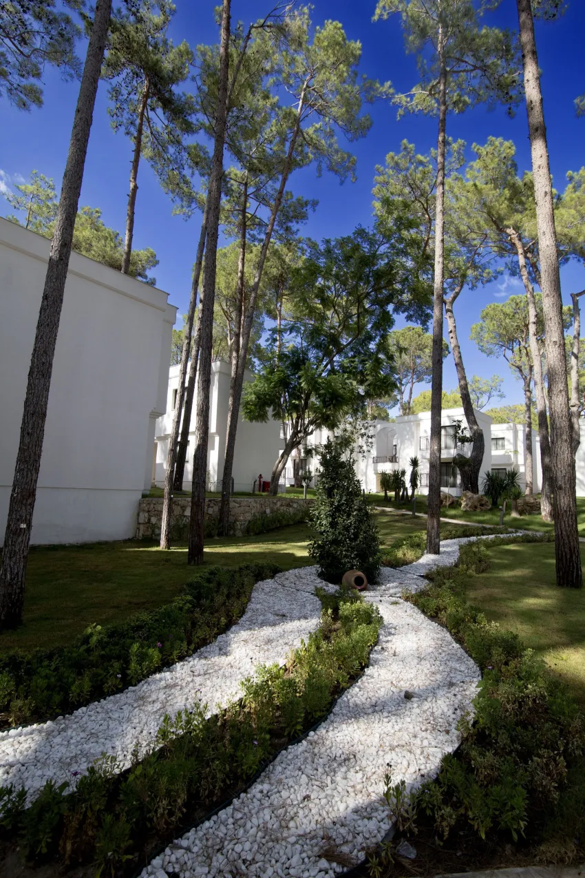 Siu Collection (Ex. Aydinbey) 5*-4