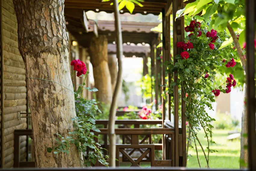 Flora Garden Beach (Adults Only 16+) 5*-53