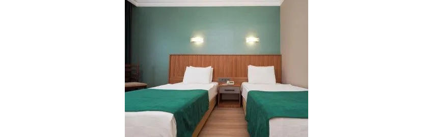 Ergun Hotel 3*-8