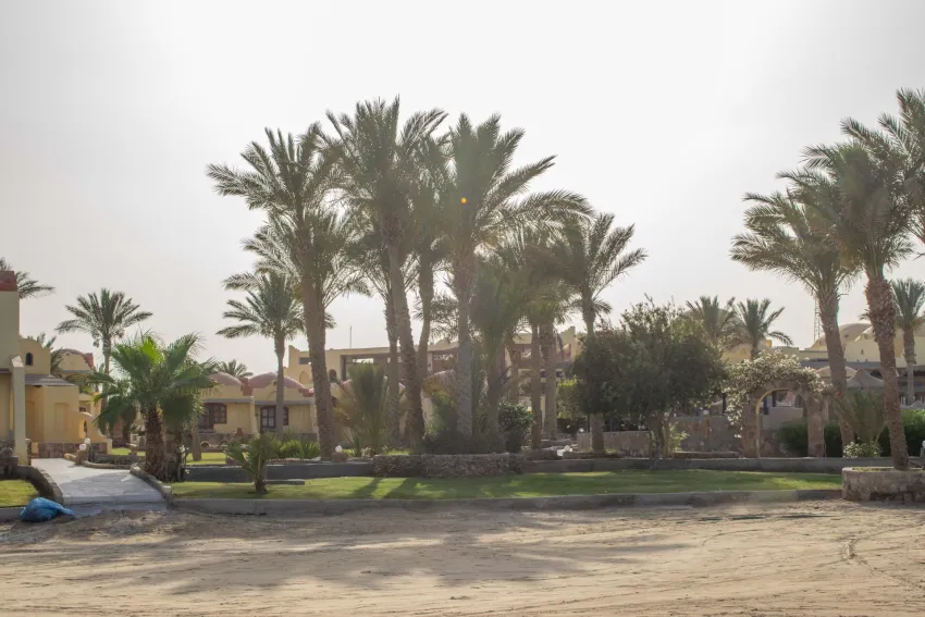 Protels Crystal Beach Resort 4*-17