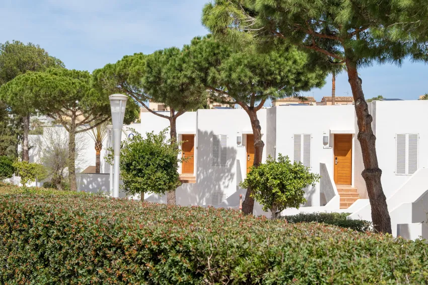 Marsenses Ferrera Blanca Adults Only 4*-3