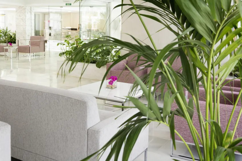 HSM SOlivera Hotel & Apartments 4*-3