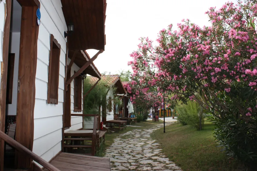 Armas Pemar Beach (Ex. Pemar Beach) 5*-20