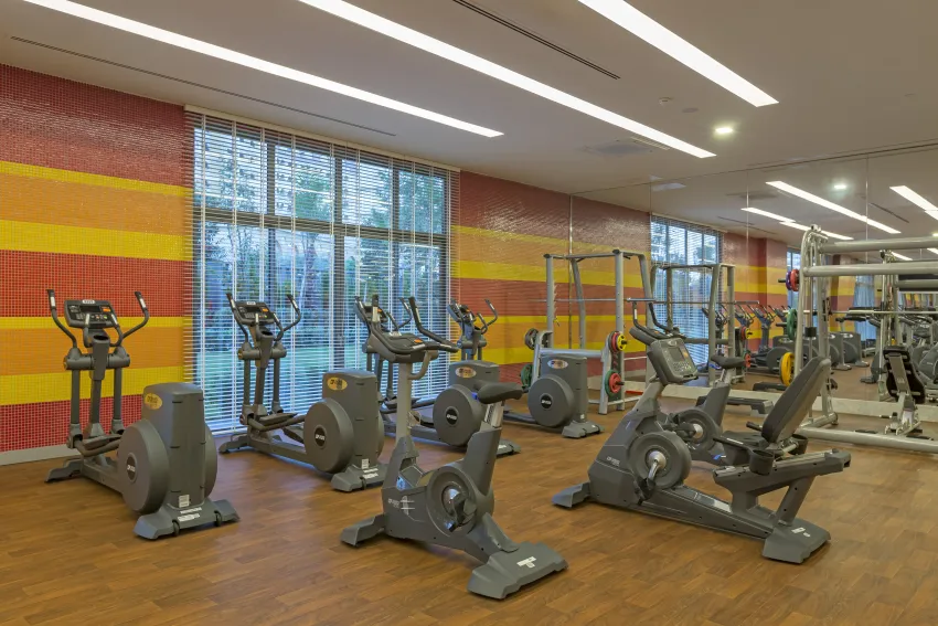 Royal Seginus 5*-119