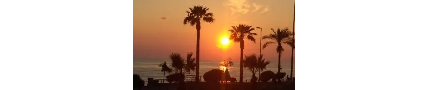 Xeno Eftalia Resort 4*-3