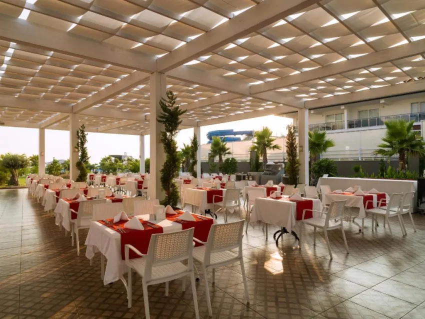 SULTAN OF DREAMS  5*-31