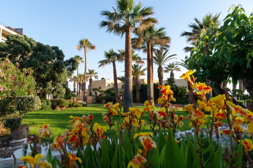 Aquila Rithymna Beach 5*-26