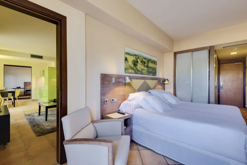 Occidental Playa de Palma 4*-10