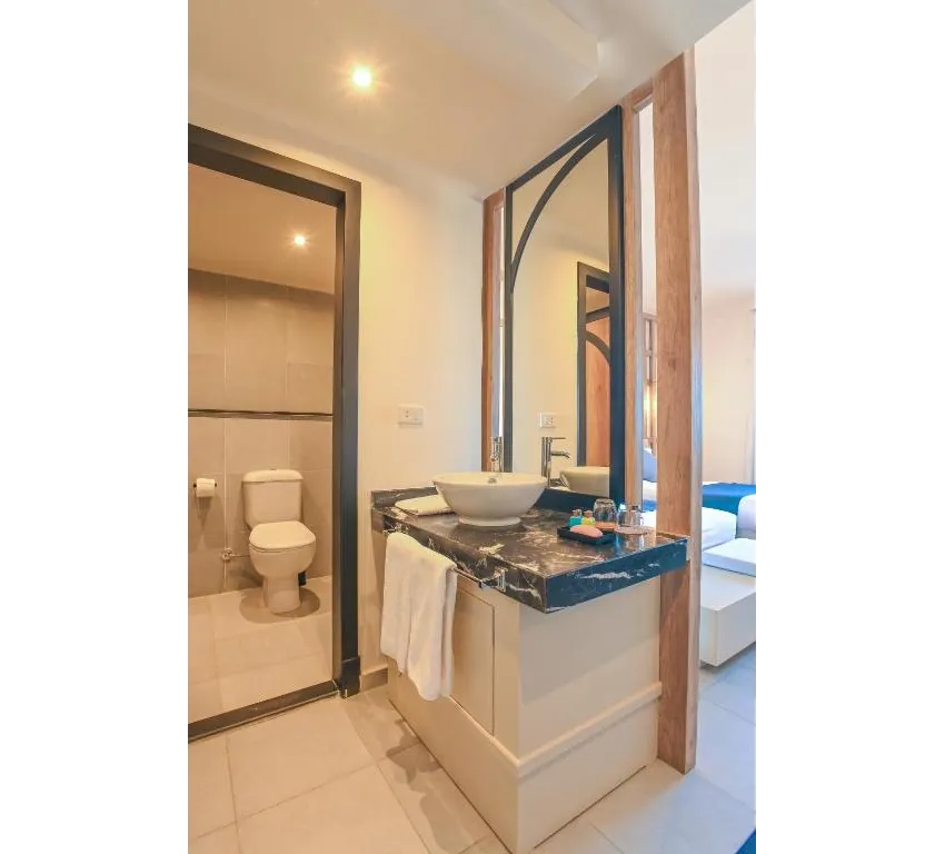 The Boutique Hotel 3*-9