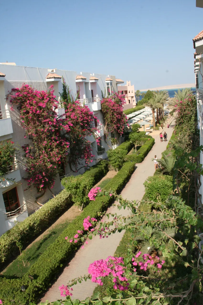 Minamark Beach Resort 4*-50