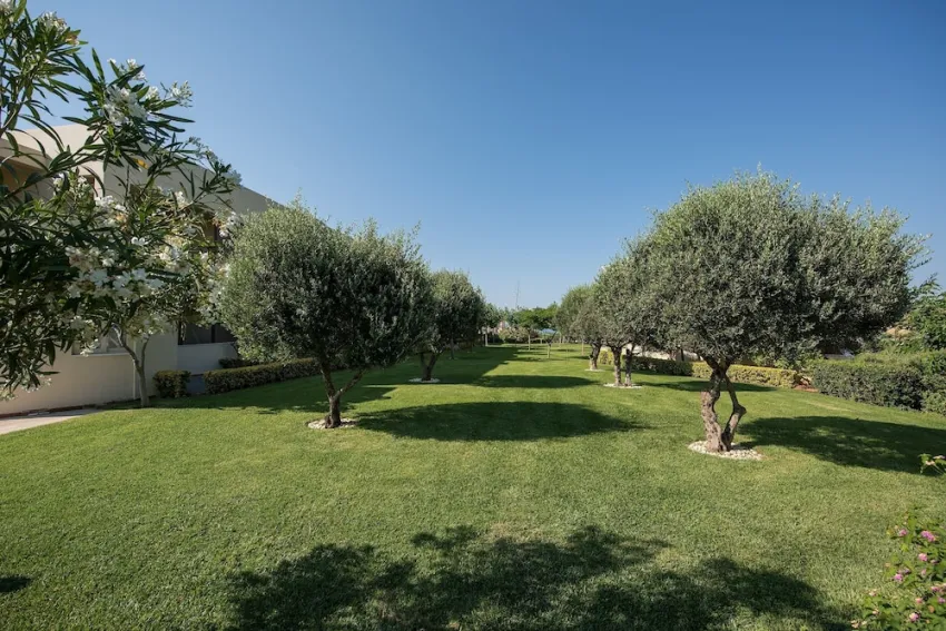 Cretan Dream Royal hotel 4*-239