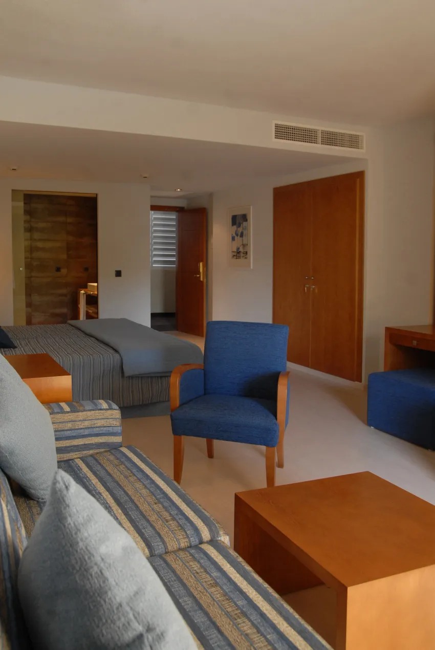 Protur Palmeras Playa 4*-10