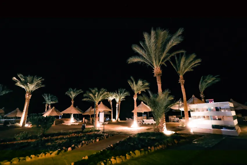 MG Alexander The Great Hotel 4*-3