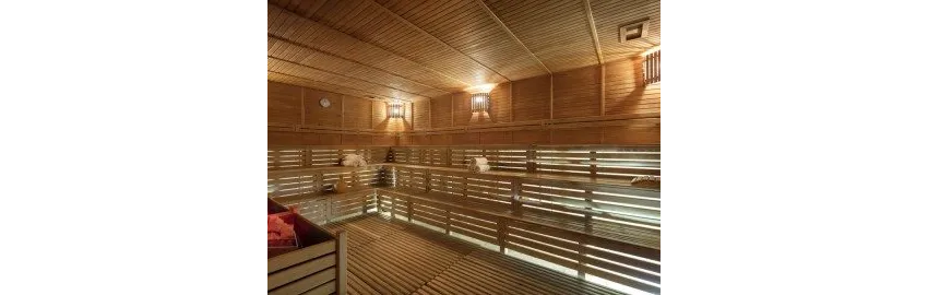 Aydinbey Kings Palace & Spa 5*-17