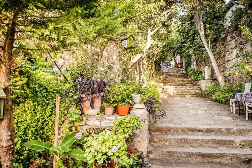 Leda Beach Hotel 3*-34