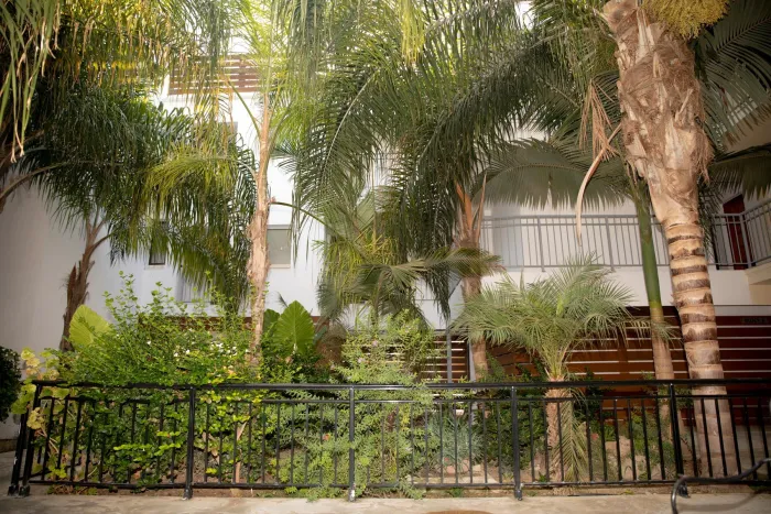 Alecos Hotel Apartments 3* - Paphos - Cipru