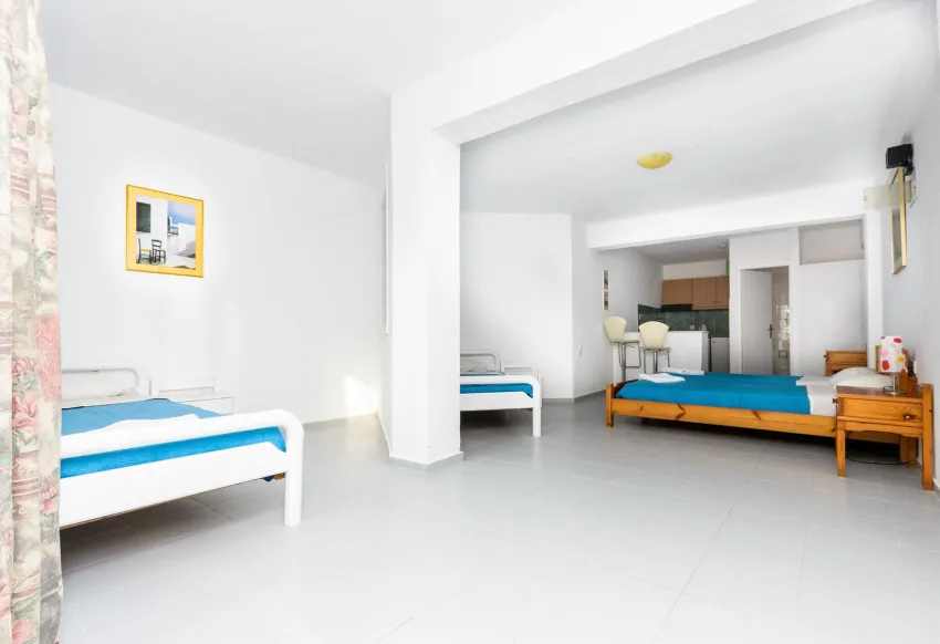 Classic Apartments 2*-21