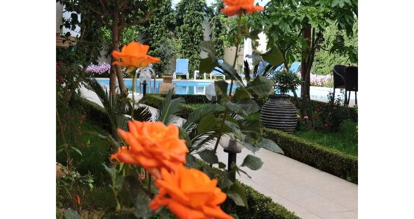 Golden Rose Suites 4*-5