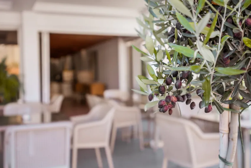 Paul Marie Hotel Apartments 3*-23