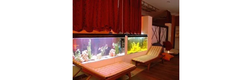 Meder Resort Hotel 5*-27