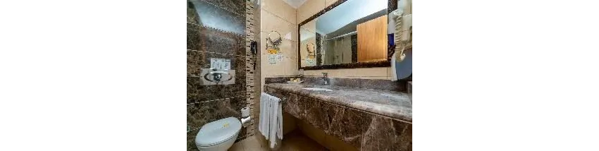 Hane Family Resort Hotel 4*-16