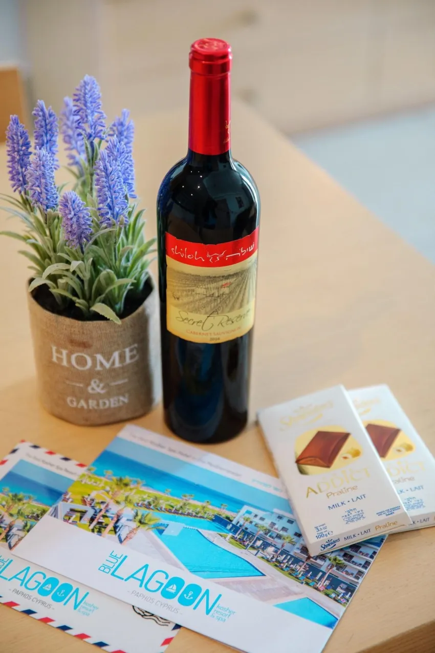 Blue Lagoon Kosher Hotel 4*-23