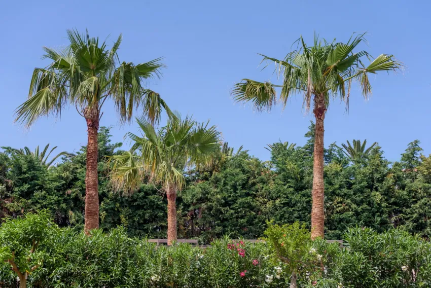 Zeus Hotels Ydoria Resort 4*-16